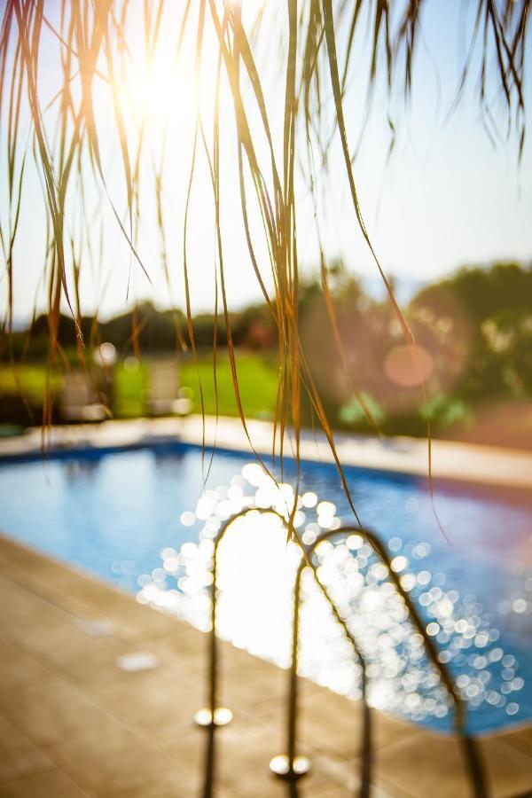 Martimi - 200m From Drapanias - Pool - Hot Tub - Sauna - Bbq Apartment Kissamos