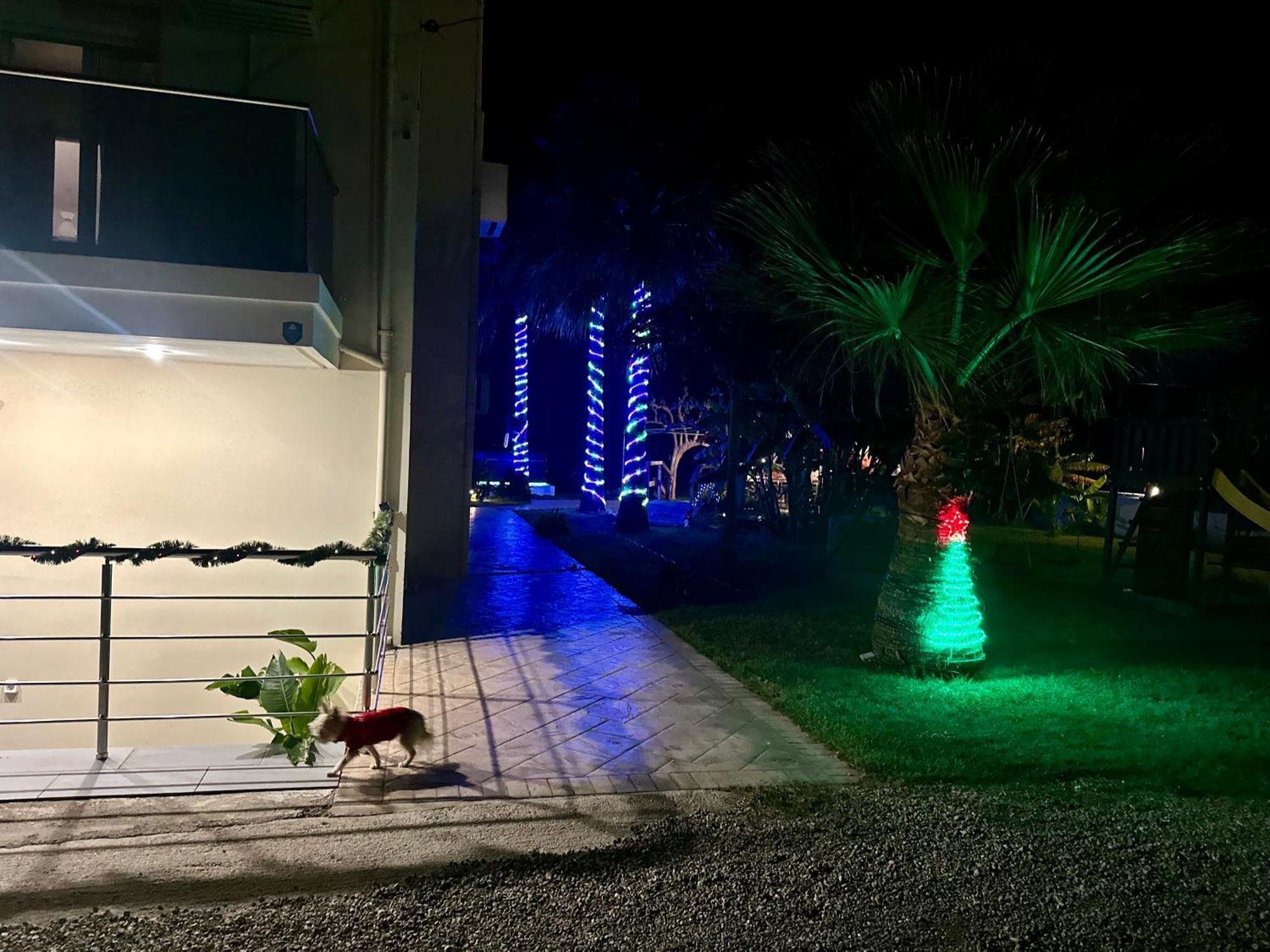 Martimi - 200m From Drapanias - Pool - Hot Tub - Sauna - Bbq דירה *